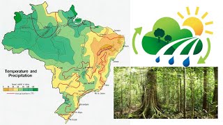 Landschap klimaat en vegetatie van Brazilië [upl. by Regina]