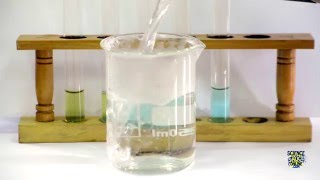 Food Tests  Iodine Biuret Benedicts Ethanol DCPIP [upl. by Dymphia977]