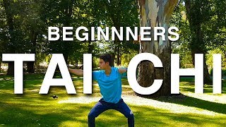 14 Minute Daily Tai Chi Routine  For Beginners [upl. by Ailecec]