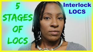 The 5 stages of Locs INTERLOCKS [upl. by Chem]