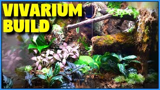 Bioactive Vivarium Build  Tropical Vivarium Setup StepByStep [upl. by Gnouhk328]