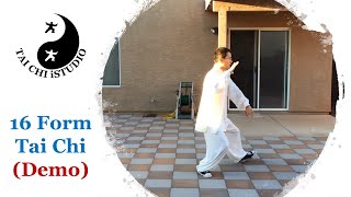 16 Form Tai Chi Demo [upl. by Ehcsrop435]